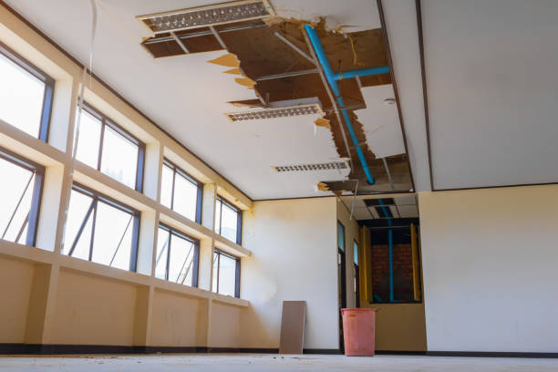 Best Water damage restoration experts  in Billington Heights, NY