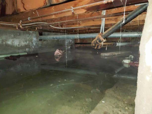 Best Residential water damage restoration  in Billington Heights, NY