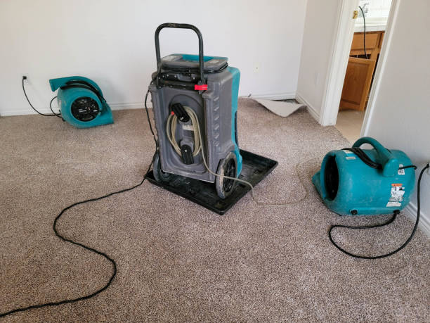 Best Emergency water extraction  in Billington Heights, NY