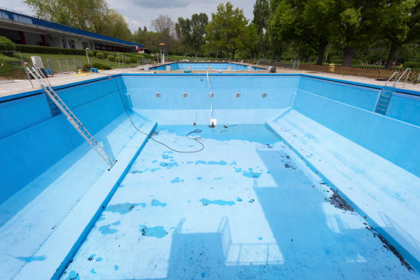 Best Mold removal after water damage  in Billington Heights, NY