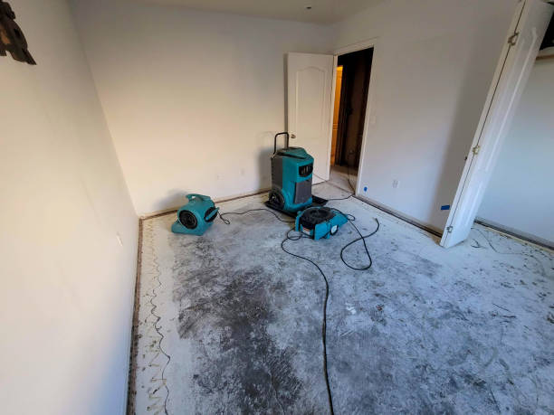 Best Emergency water damage restoration  in Billington Heights, NY