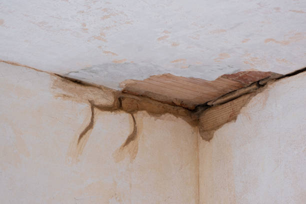 Best Residential water damage restoration  in Billington Heights, NY