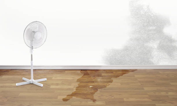  Billington Heights, NY Water damage restoration Pros