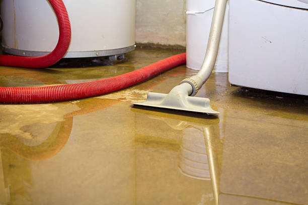 Best Local water damage restoration  in Billington Heights, NY
