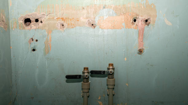Best Carpet water damage restoration  in Billington Heights, NY