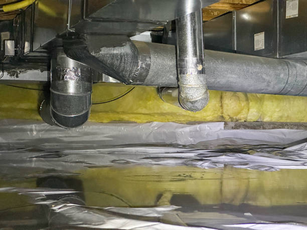 Best Local water damage restoration  in Billington Heights, NY