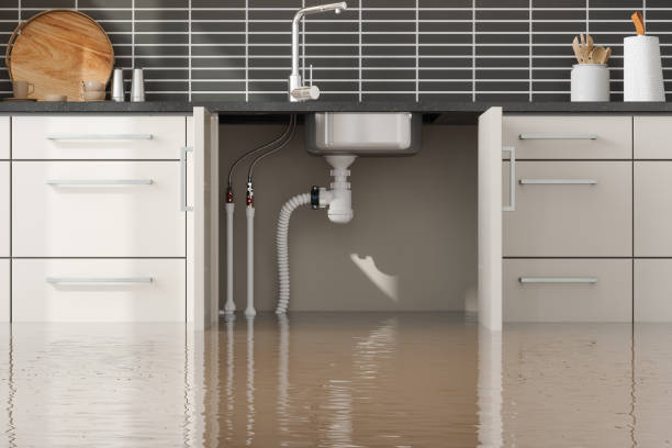 Best Basement water damage restoration  in Billington Heights, NY