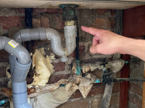 Best Water damage cleanup near me  in Billington Heights, NY