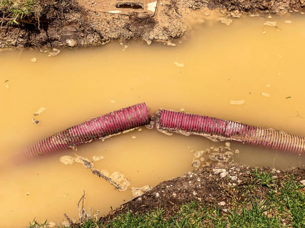 Best Water damage contractors near me  in Billington Heights, NY